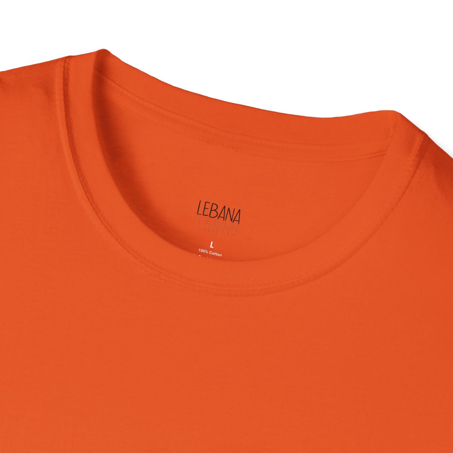 Halloween Unisex Softstyle T-Shirt